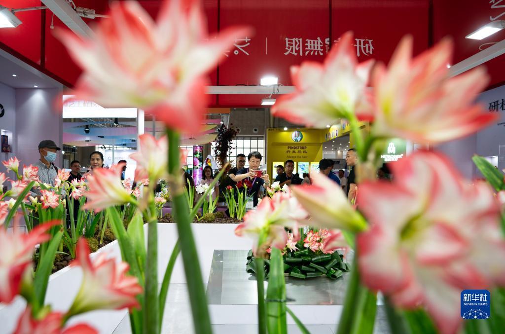 拉菲平台登录1